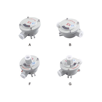 AH系列防爆接线盒( IIc、tD)